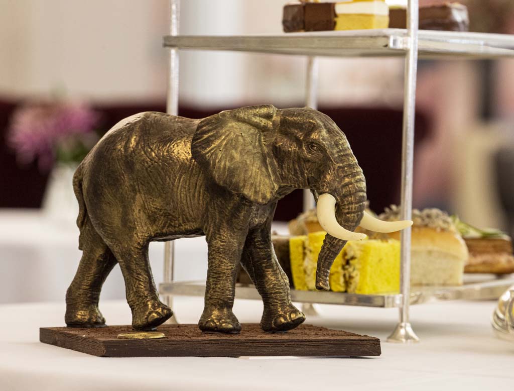 Imatge de detall de l'elefant de xocolata